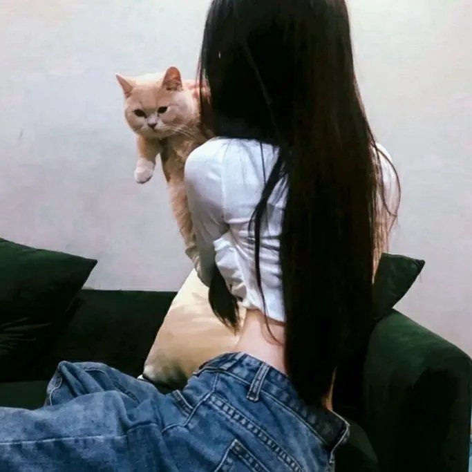 鉴心