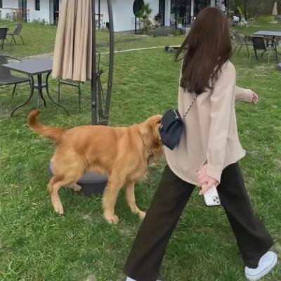 霓裳记