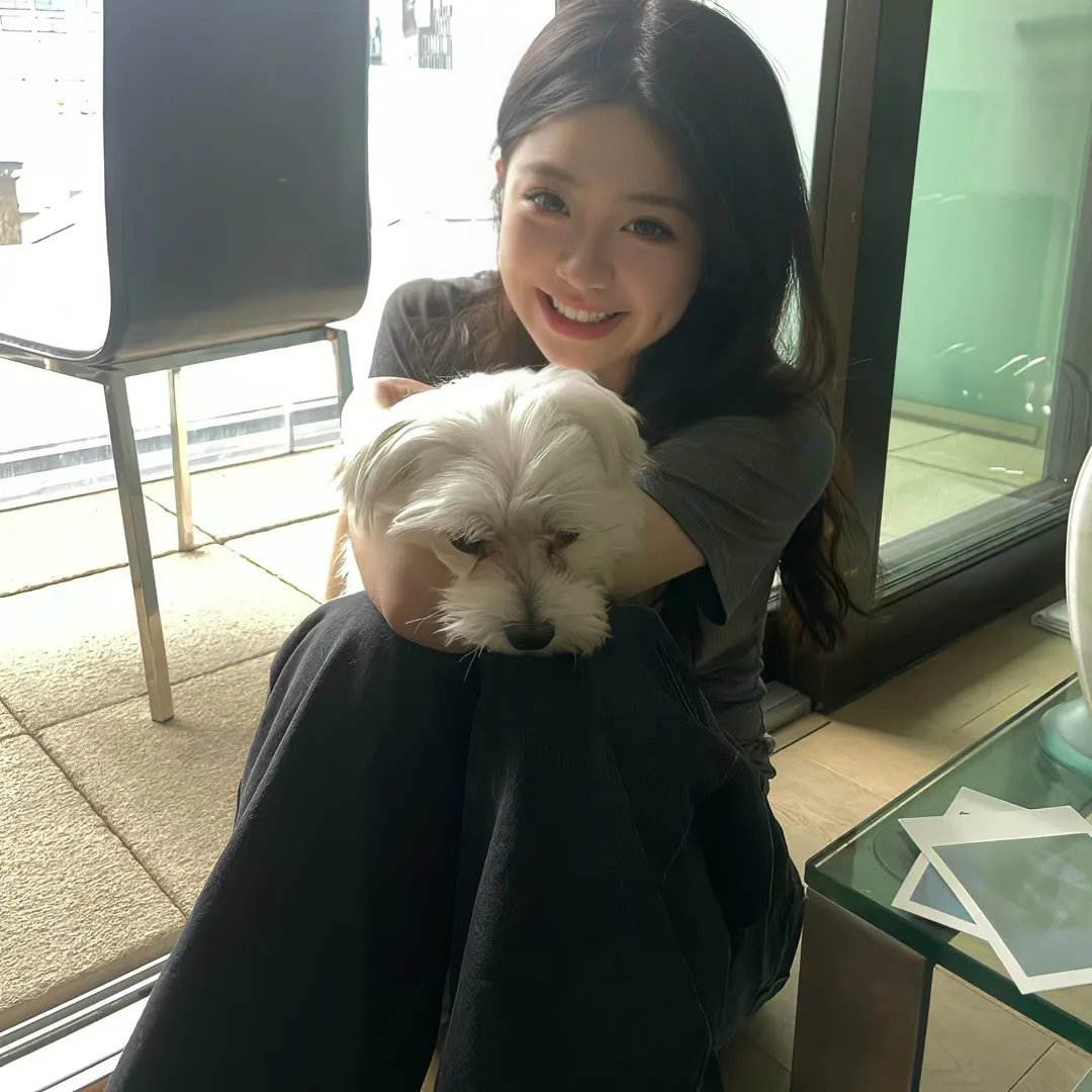 地狱猫