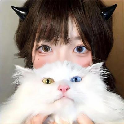 营地藏身